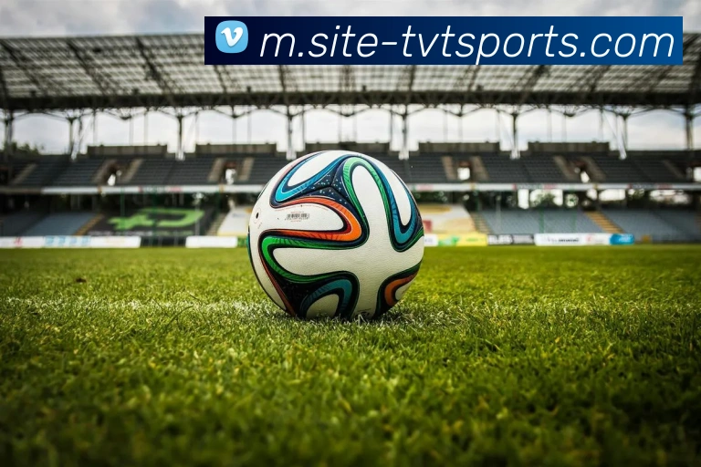 体育下注APP 封面图